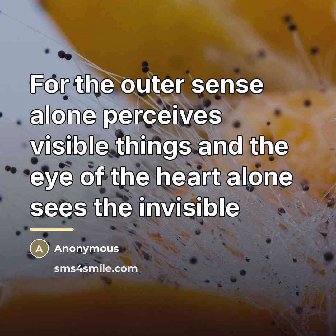 “For the outer sense alone perceives visible things and the…” quote by Anonymous
