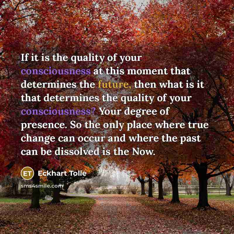 “If it is the quality of your consciousness at this…” quote by Eckhart Tolle