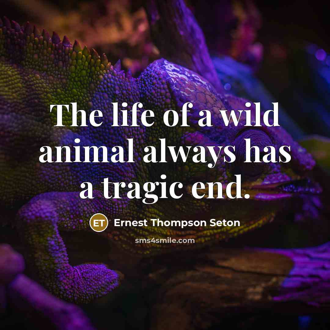 “The life of a wild animal always has a tragic…” quote by Ernest Thompson Seton