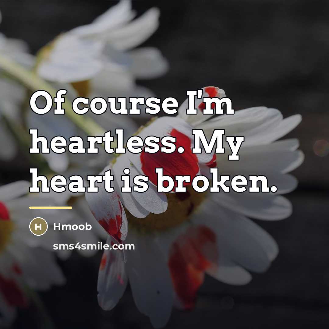 “Of course I'm heartless. My heart is broken.…” quote by Hmoob