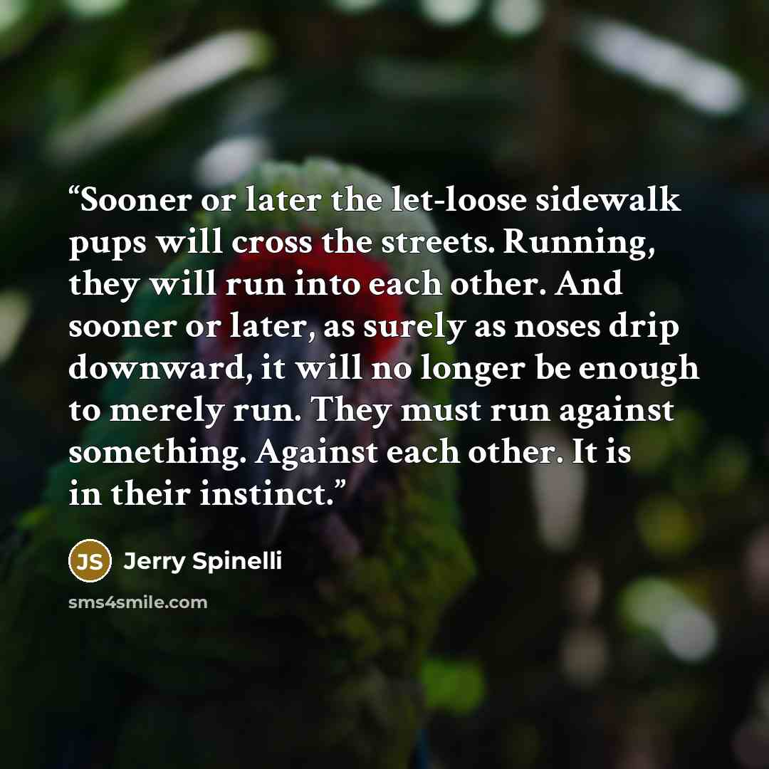 “Sooner or later the let-loose sidewalk pups will cross the streets. Running, they will run into each other. And sooner or later, as surely as noses drip downward, it will no longer be enough to merely run. They must run against something. Against each other. It is in their instinct.” quote by Jerry Spinelli
