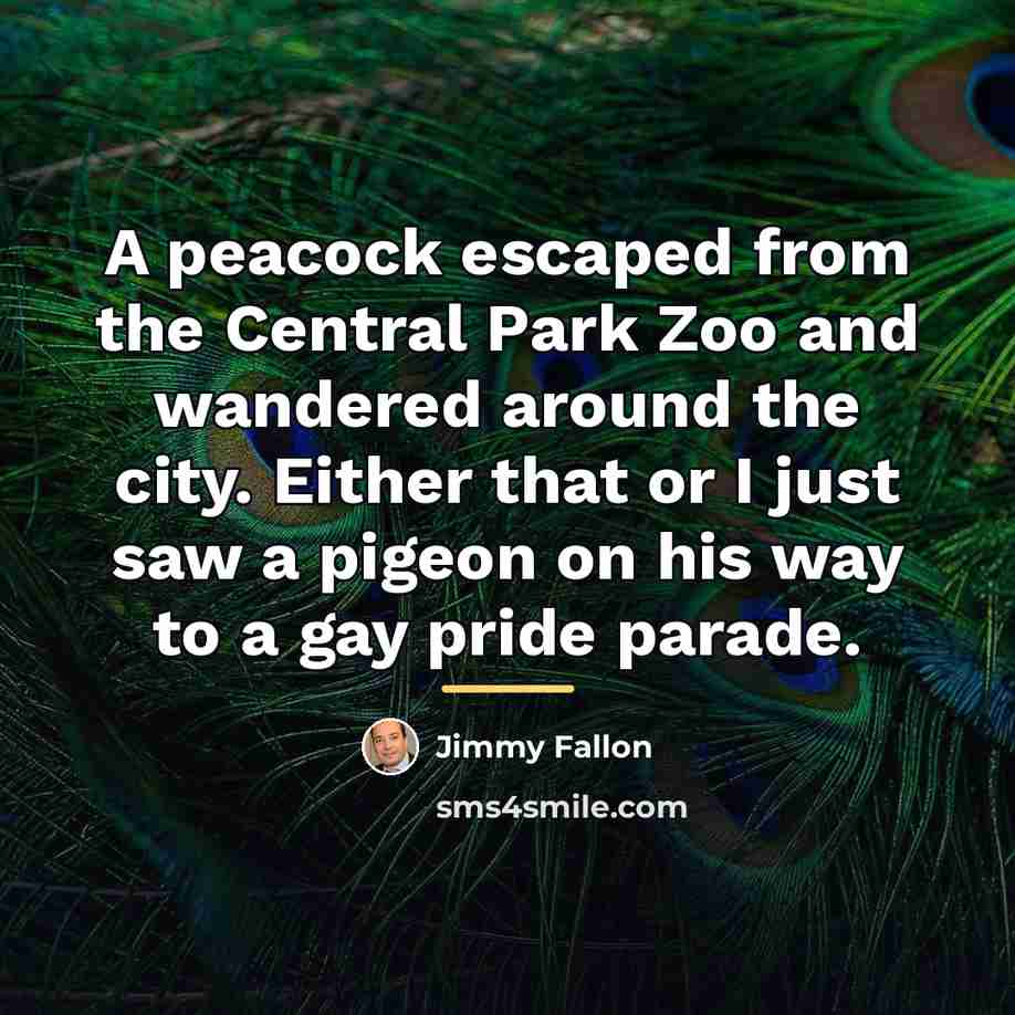 “A peacock escaped from the Central Park Zoo and wandered…” quote by Jimmy Fallon