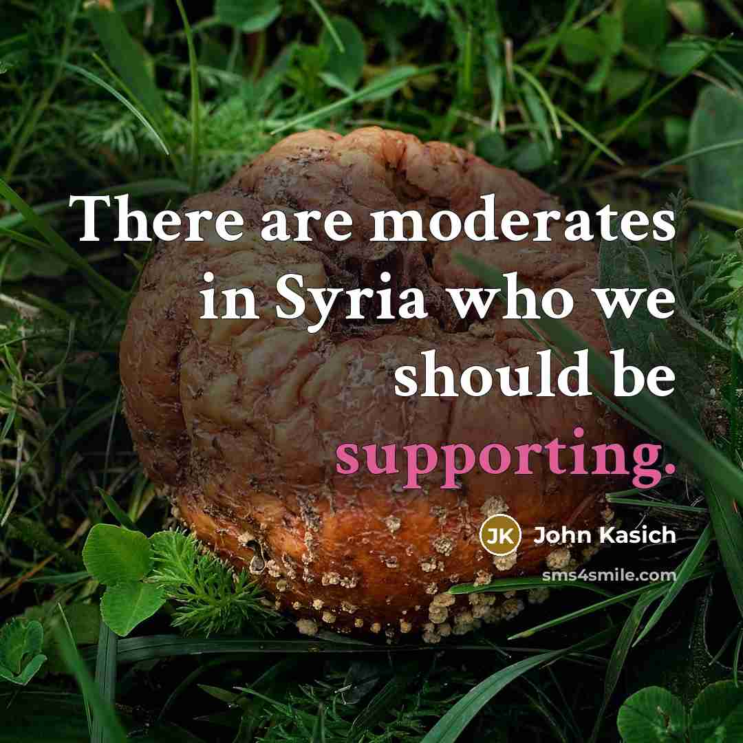 “There are moderates in Syria who we should be supporting.” quote by John Kasich