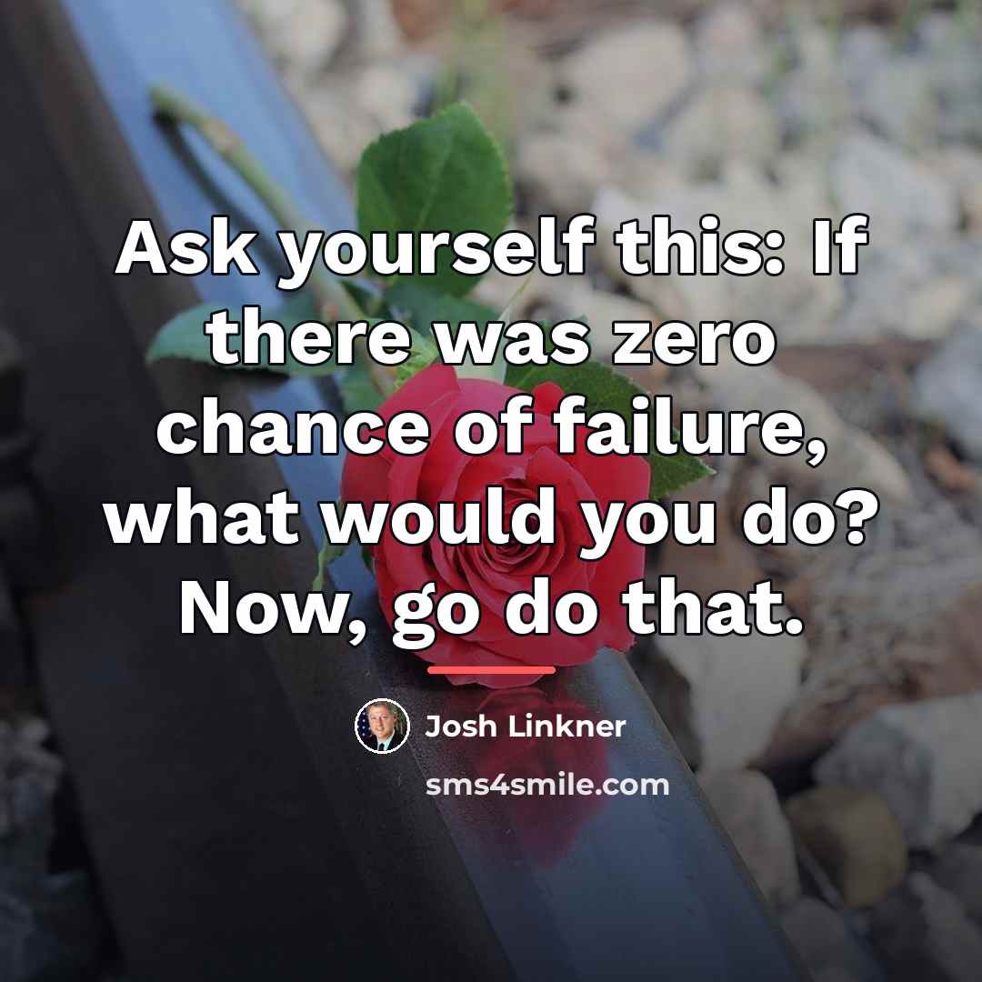 “Ask yourself this: If there was zero chance of failure,…” quote by Josh Linkner