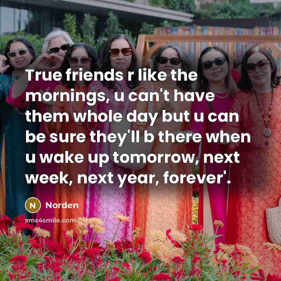 “True friends r like the mornings, u can`t have them…” quote by Norden