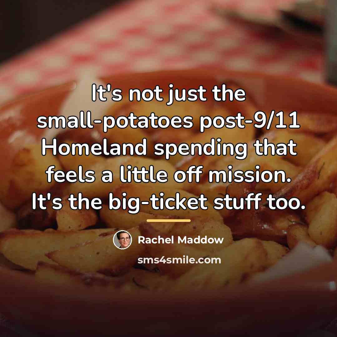 “It's not just the small-potatoes post-9/11 Homeland spending that feels…” quote by Rachel Maddow