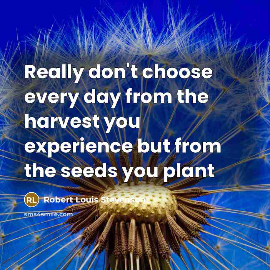 “Really don't choose every day from the harvest you experience…” quote by Robert Louis Stevenson