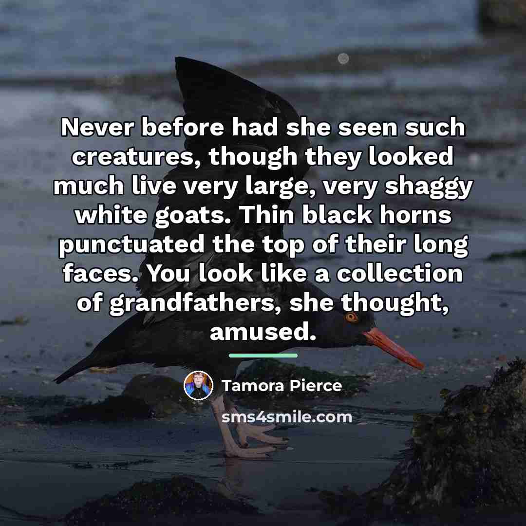“Never before had she seen such creatures, though they looked…” quote by Tamora Pierce
