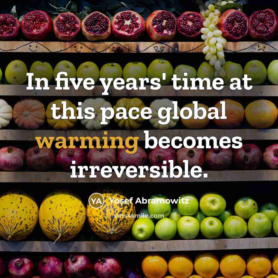 “In five years' time at this pace global warming becomes irreversible.” quote by Yosef Abramowitz