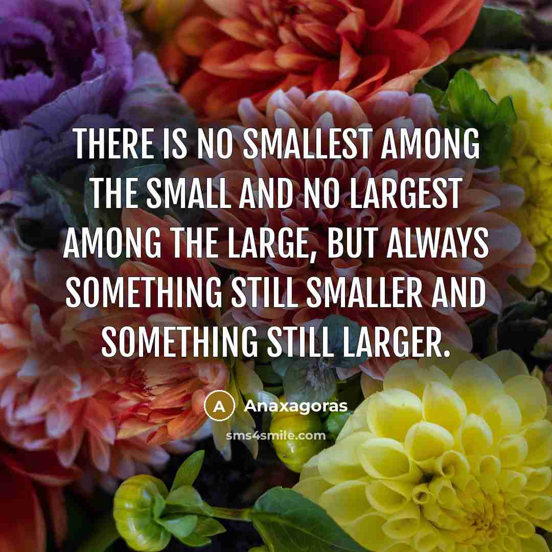 “There is no smallest among the small and no largest…” quote by Anaxagoras