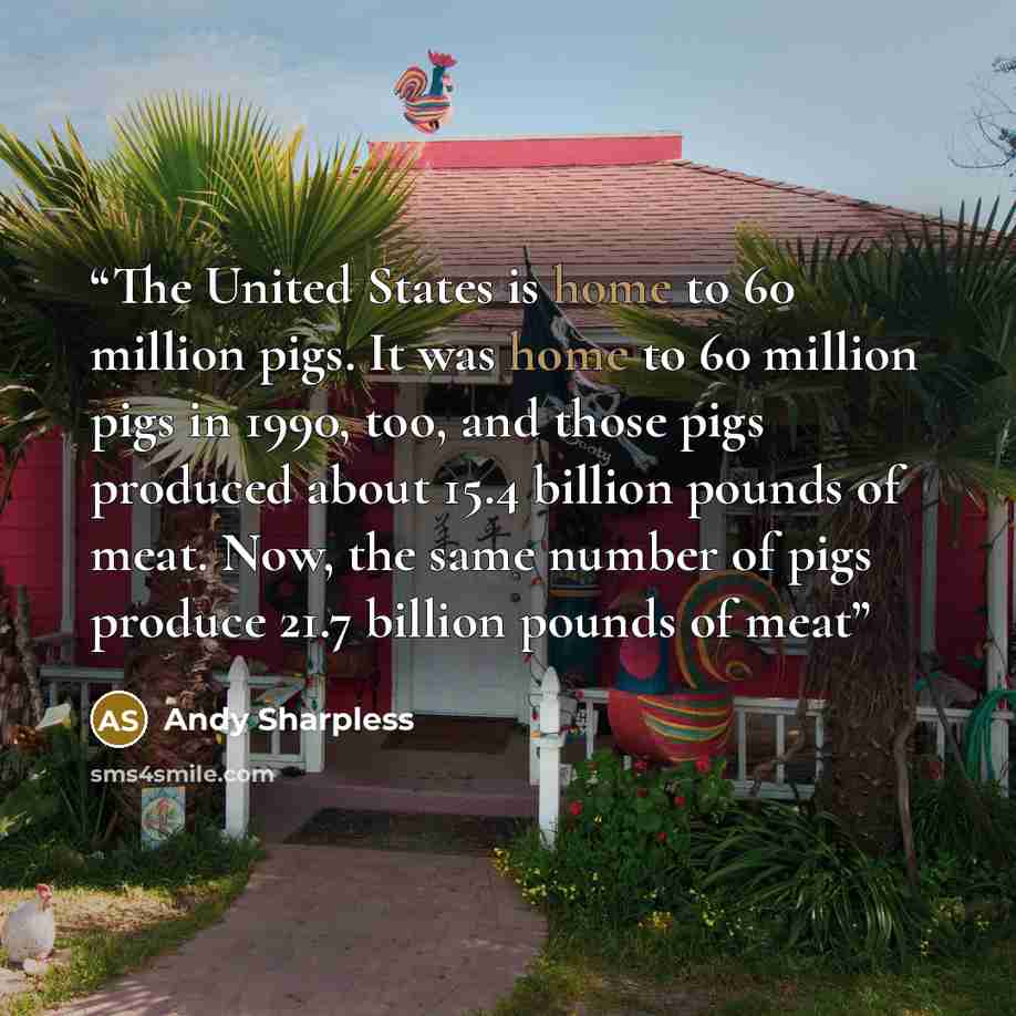 “The United States is home to 60 million pigs. It was home to 60 million pigs in 1990, too, and those pigs produced about 15.4 billion pounds of meat. Now, the same number of pigs produce 21.7 billion pounds of meat” quote by Andy Sharpless