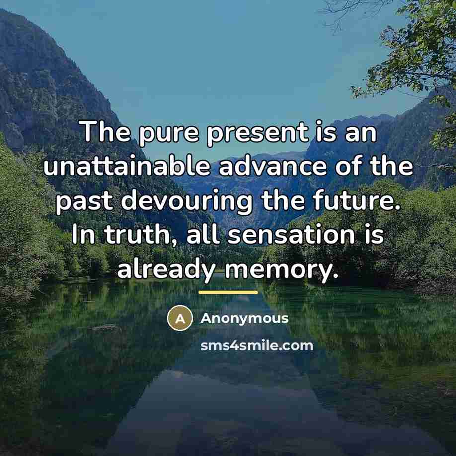 “The pure present is an unattainable advance of the past…” quote by Anonymous