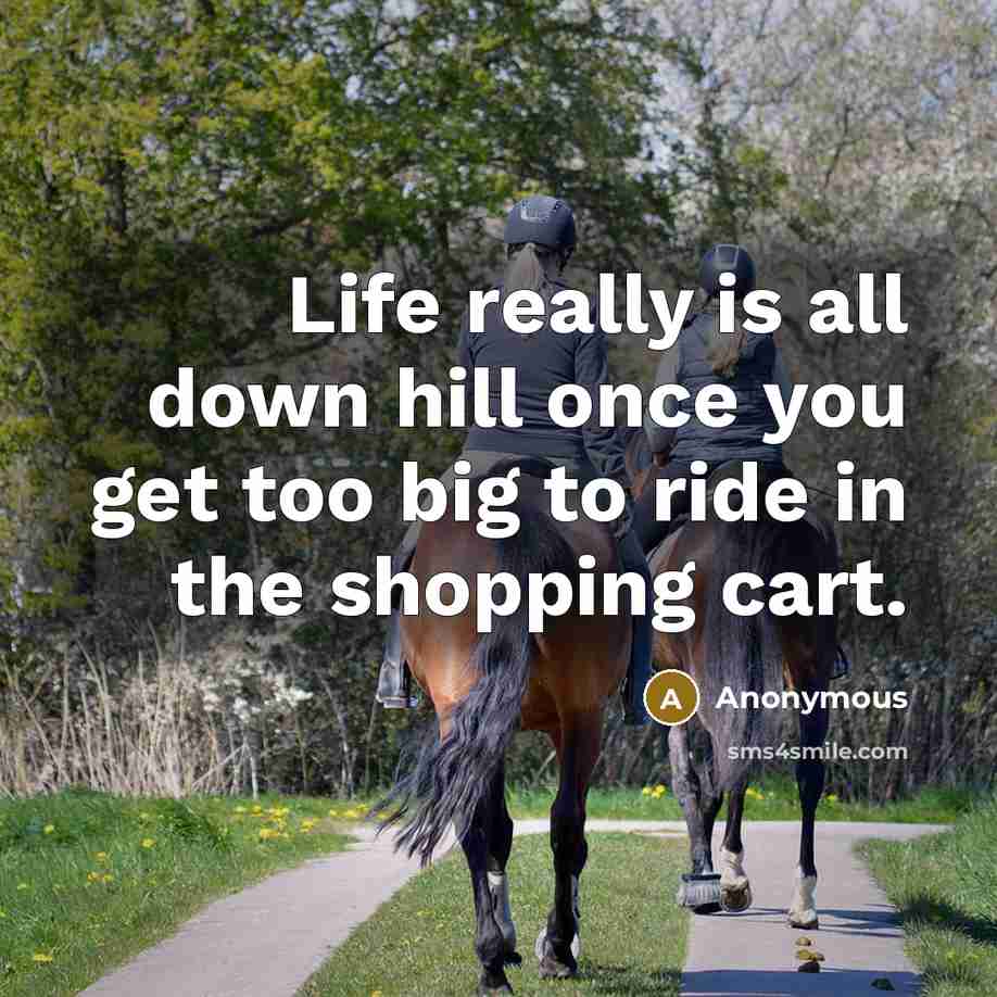 “Life really is all down hill once you get too big to ride in the shopping cart.” quote by Anonymous