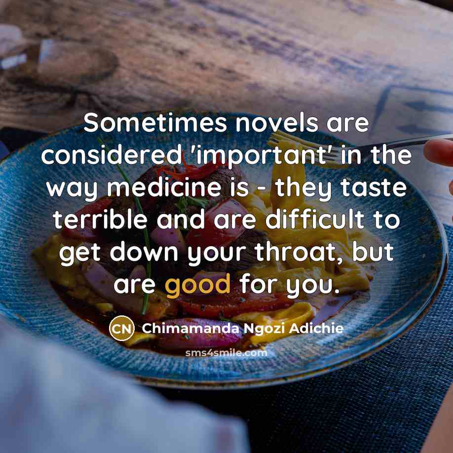 “Sometimes novels are considered 'important' in the way medicine is…” quote by Chimamanda Ngozi Adichie