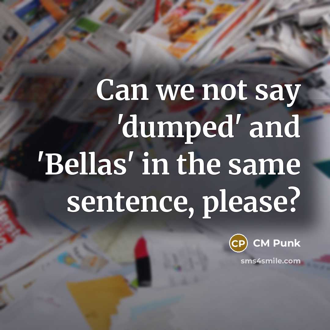 “Can we not say 'dumped' and 'Bellas' in the same…” quote by CM Punk