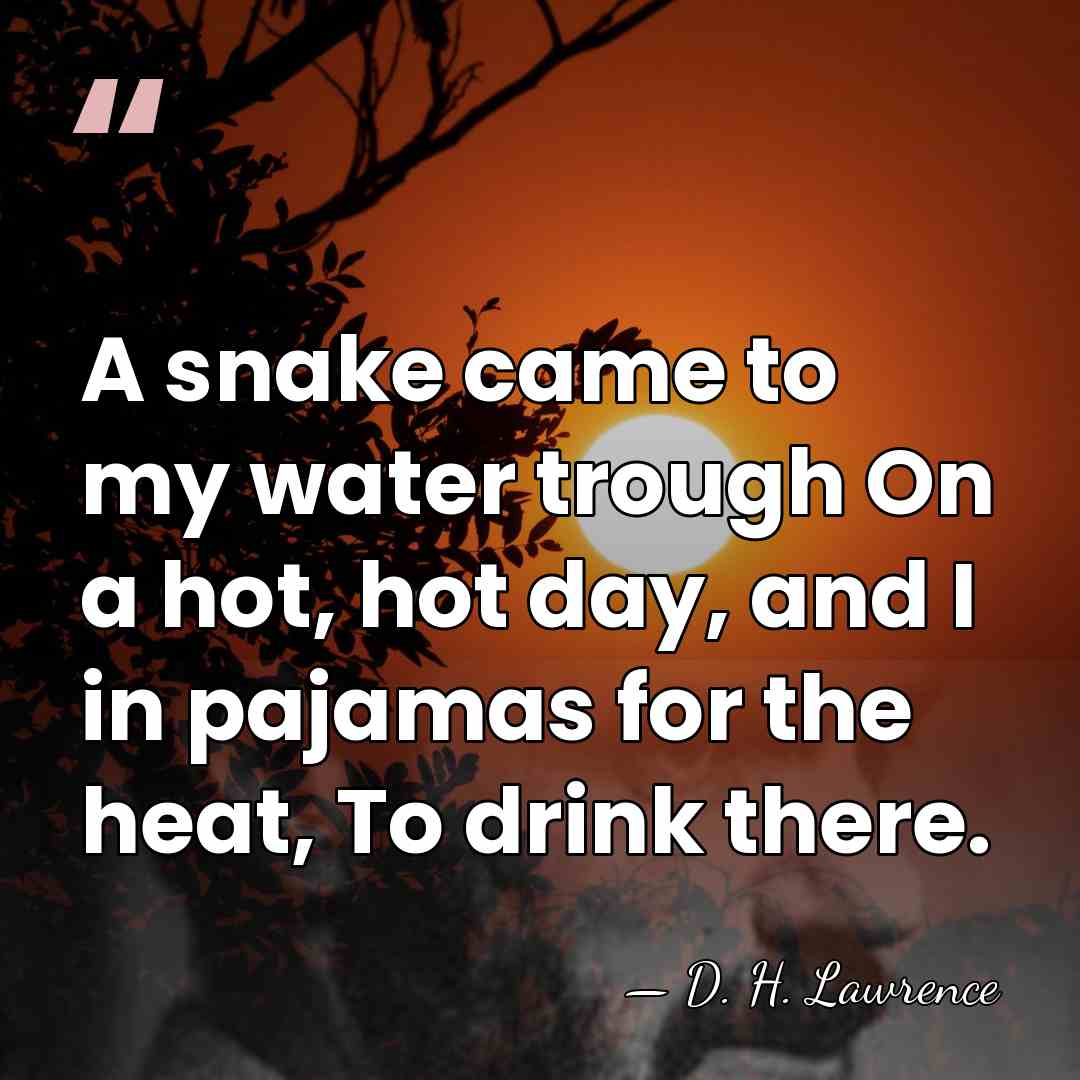 A snake came to my water trough On a hot, hot day,&hellip; - D. H. Lawrence