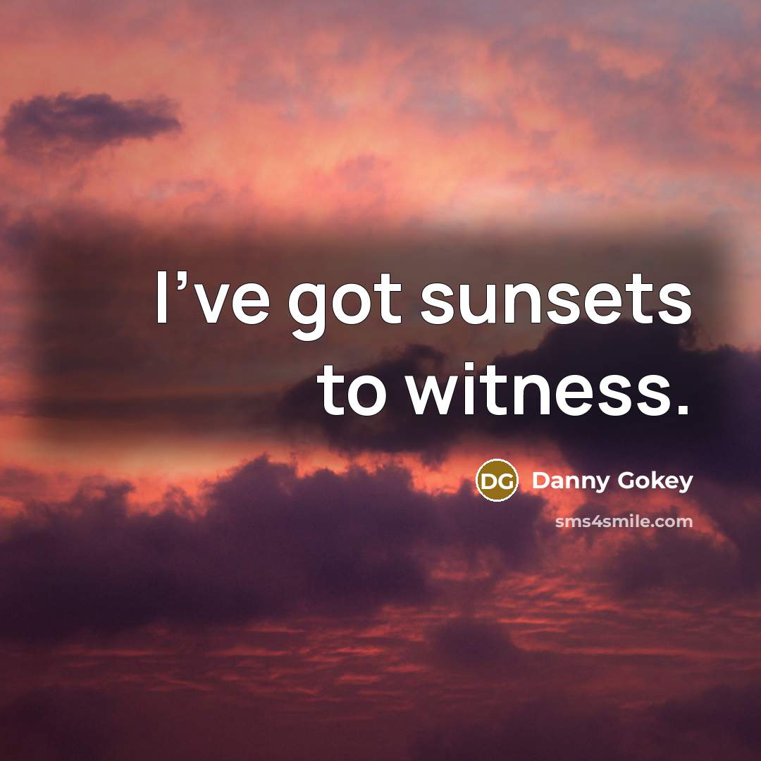 “I've got sunsets to witness.…” quote by Danny Gokey
