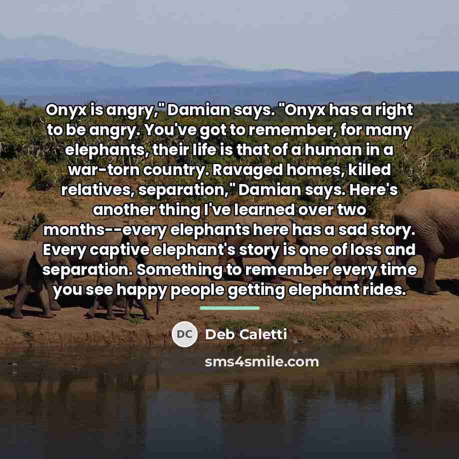 “Onyx is angry," Damian says. "Onyx has a right to…” quote by Deb Caletti