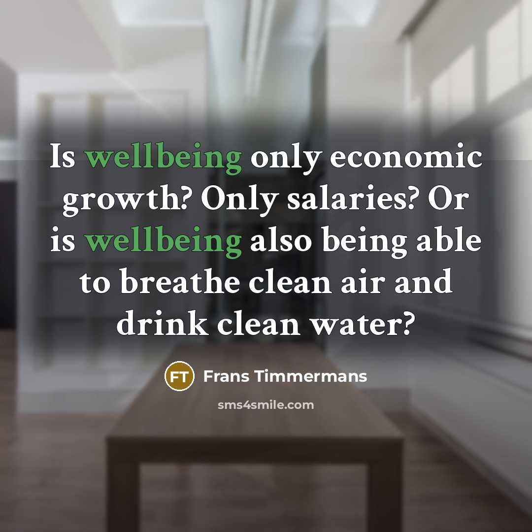 “Is wellbeing only economic growth? Only salaries? Or is wellbeing…” quote by Frans Timmermans