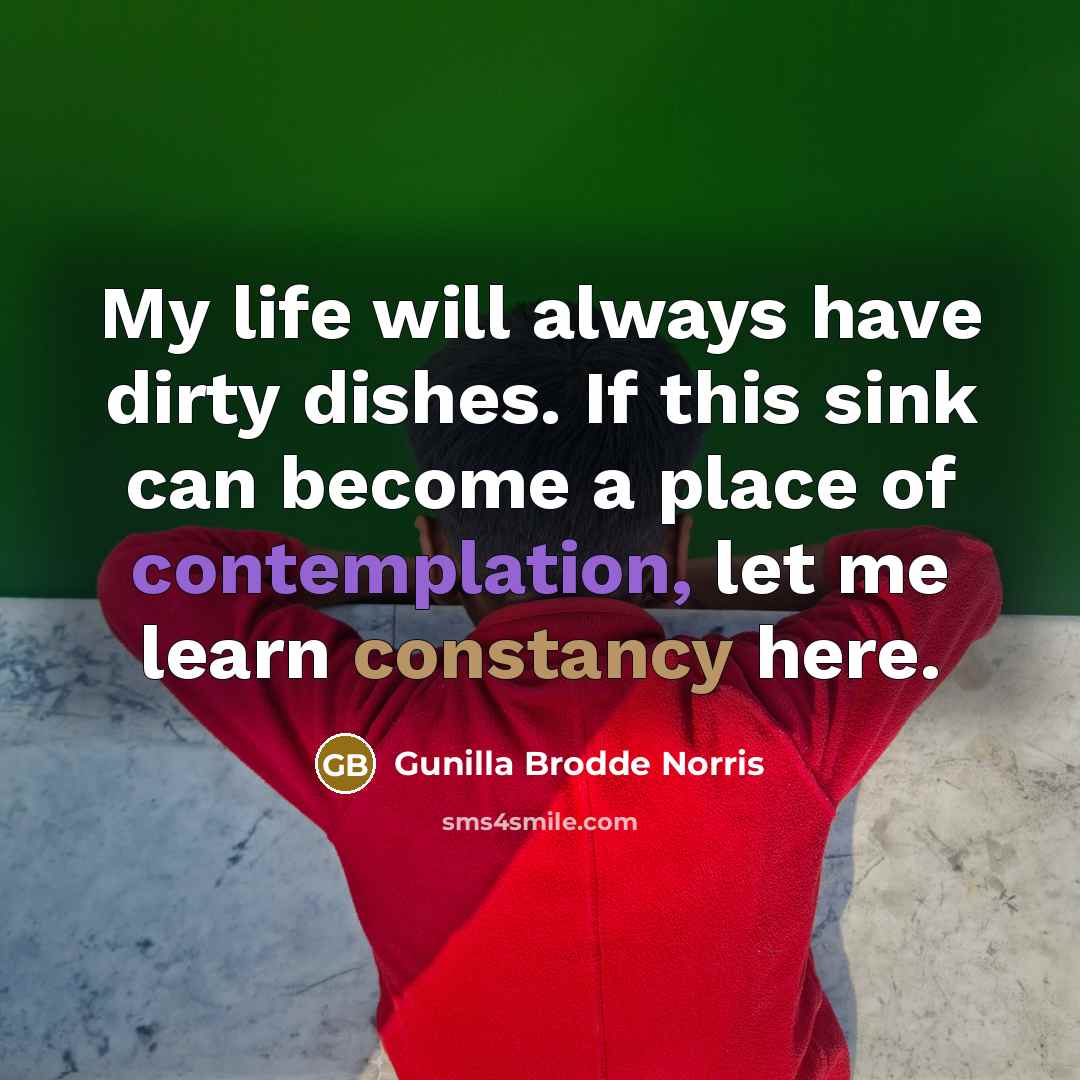“My life will always have dirty dishes. If this sink…” quote by Gunilla Brodde Norris