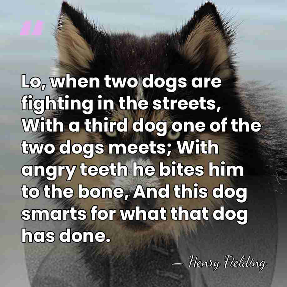 Lo, when two dogs are fighting in the streets, With a third&hellip; - Henry Fielding