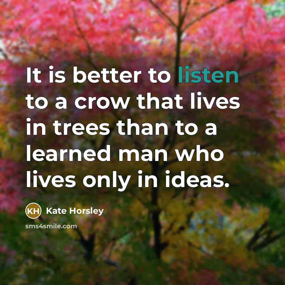 “It is better to listen to a crow that lives…” quote by Kate Horsley
