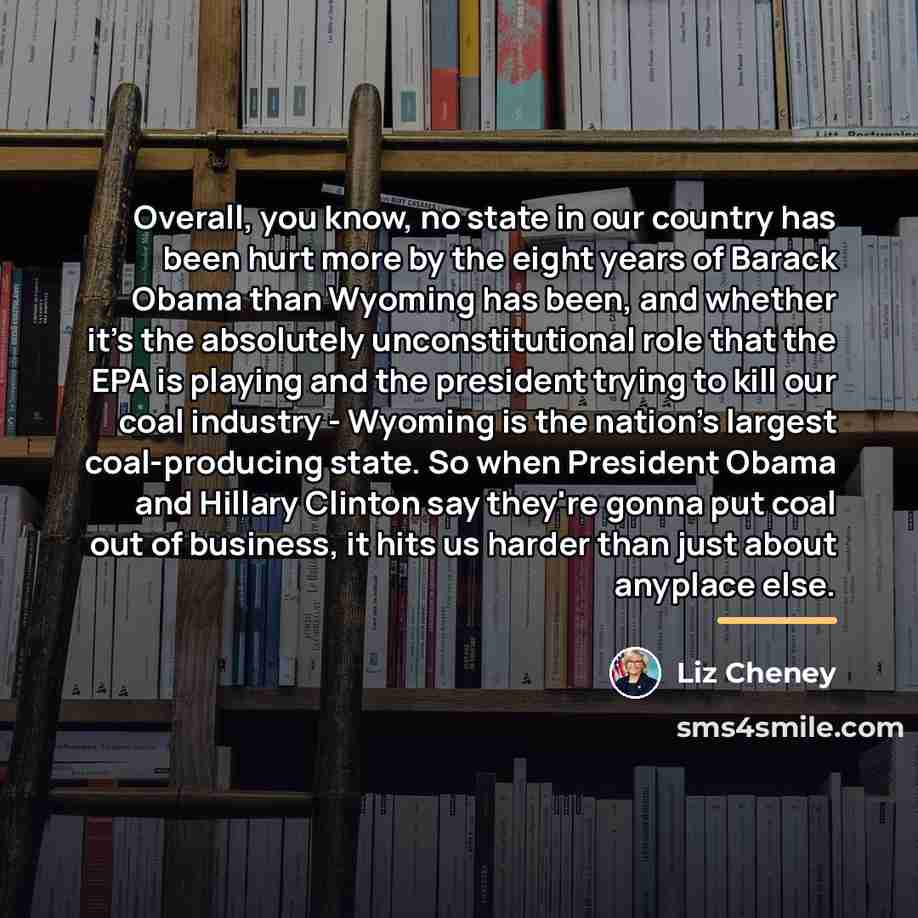“Overall, you know, no state in our country has been…” quote by Liz Cheney