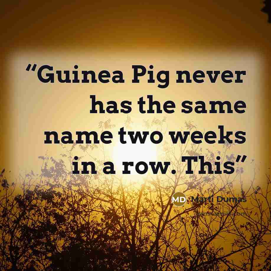 “Guinea Pig never has the same name two weeks in a row. This” quote by Marti Dumas