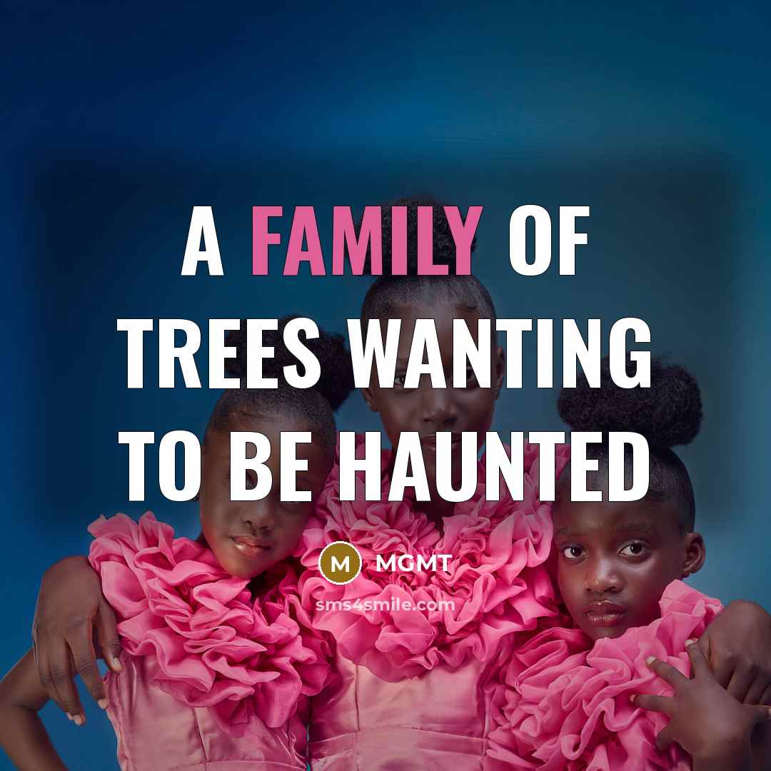 “A family of trees wanting to be haunted…” quote by MGMT