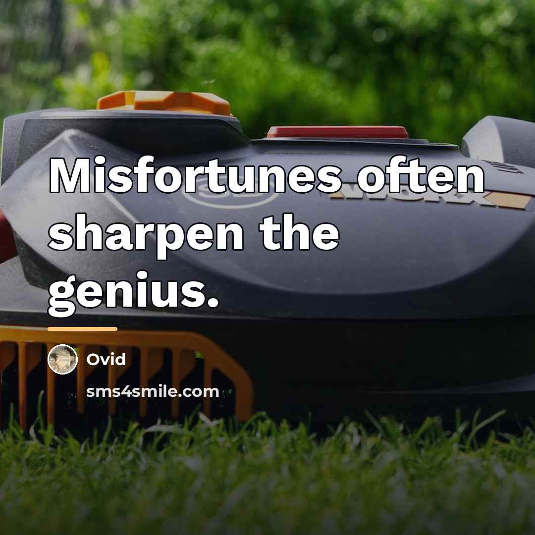 “Misfortunes often sharpen the genius.…” quote by Ovid