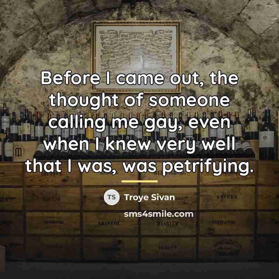 “Before I came out, the thought of someone calling me…” quote by Troye Sivan