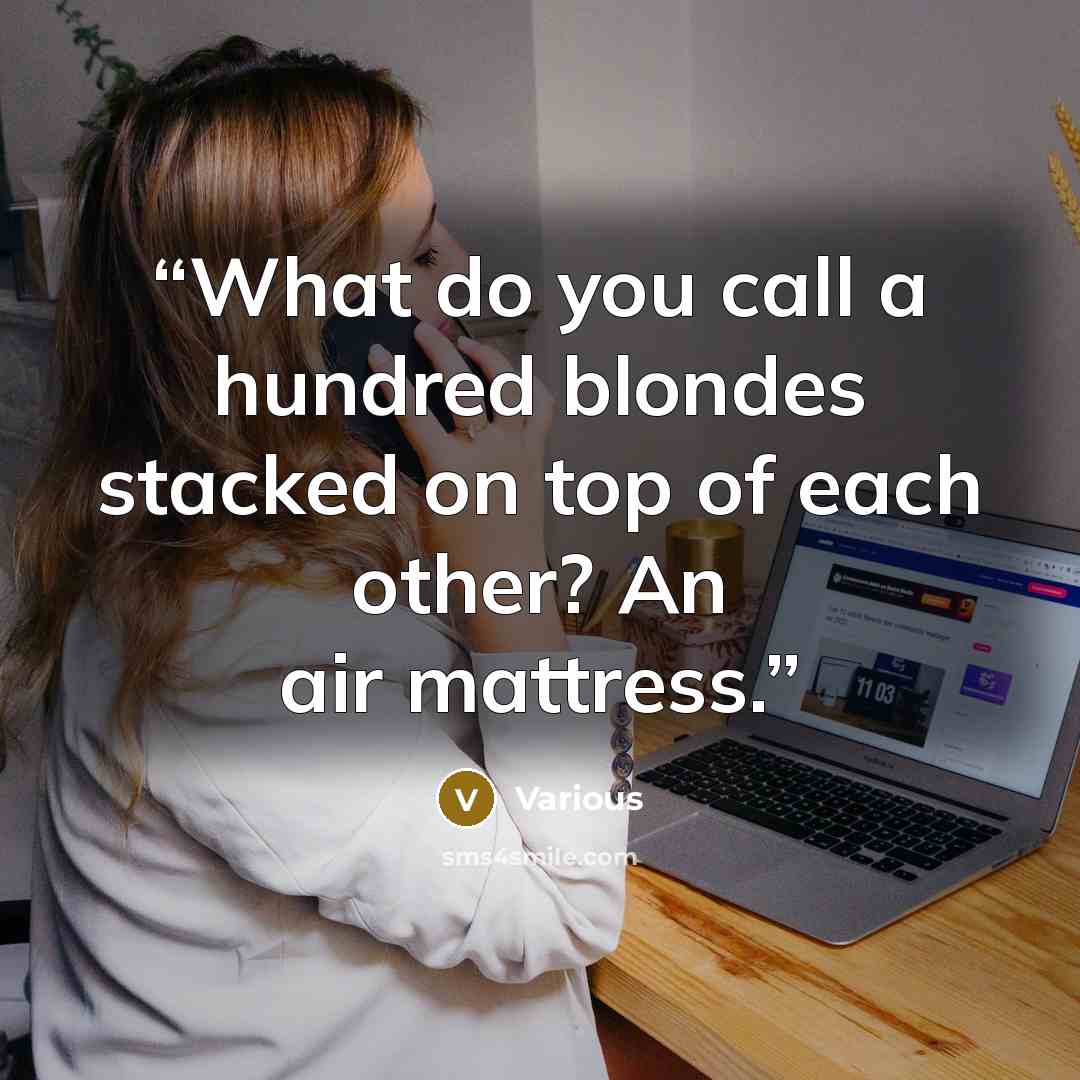 “What do you call a hundred blondes stacked on top of each other? An air mattress.” quote by Various