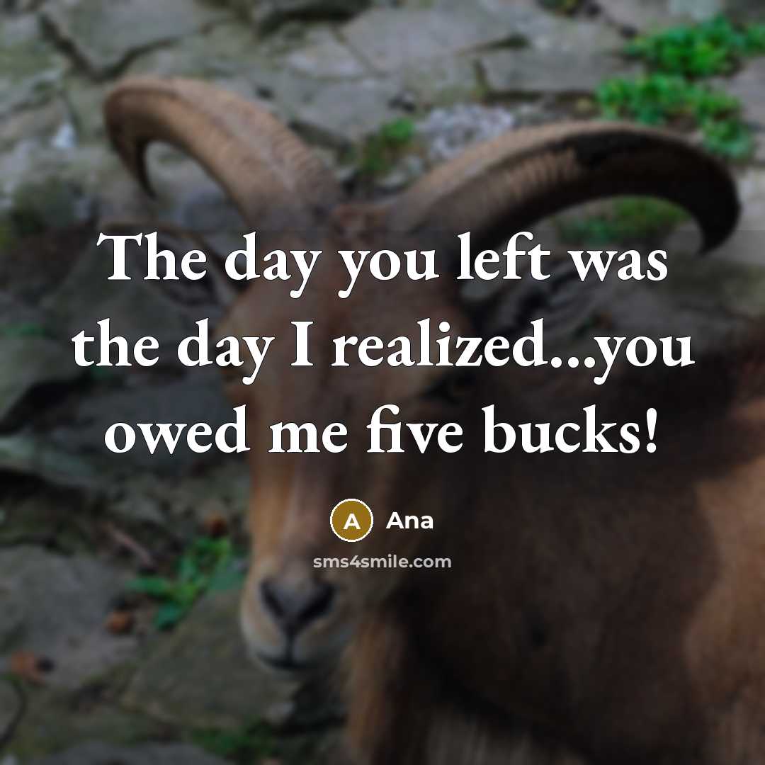 “The day you left was the day I realized...you owed me five bucks!” quote by Ana