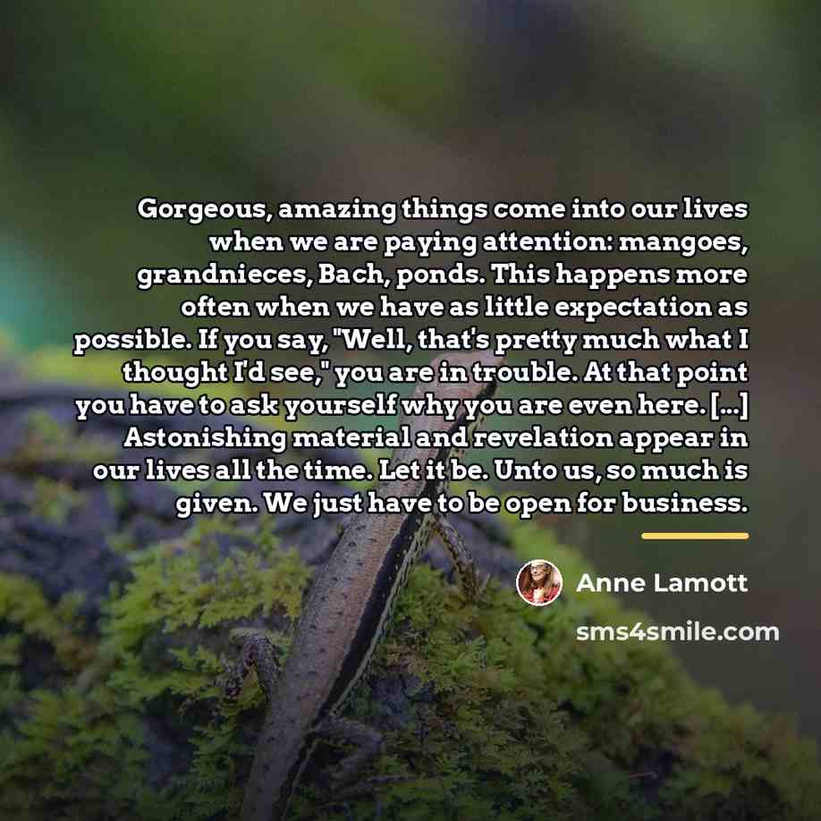 “Gorgeous, amazing things come into our lives when we are…” quote by Anne Lamott