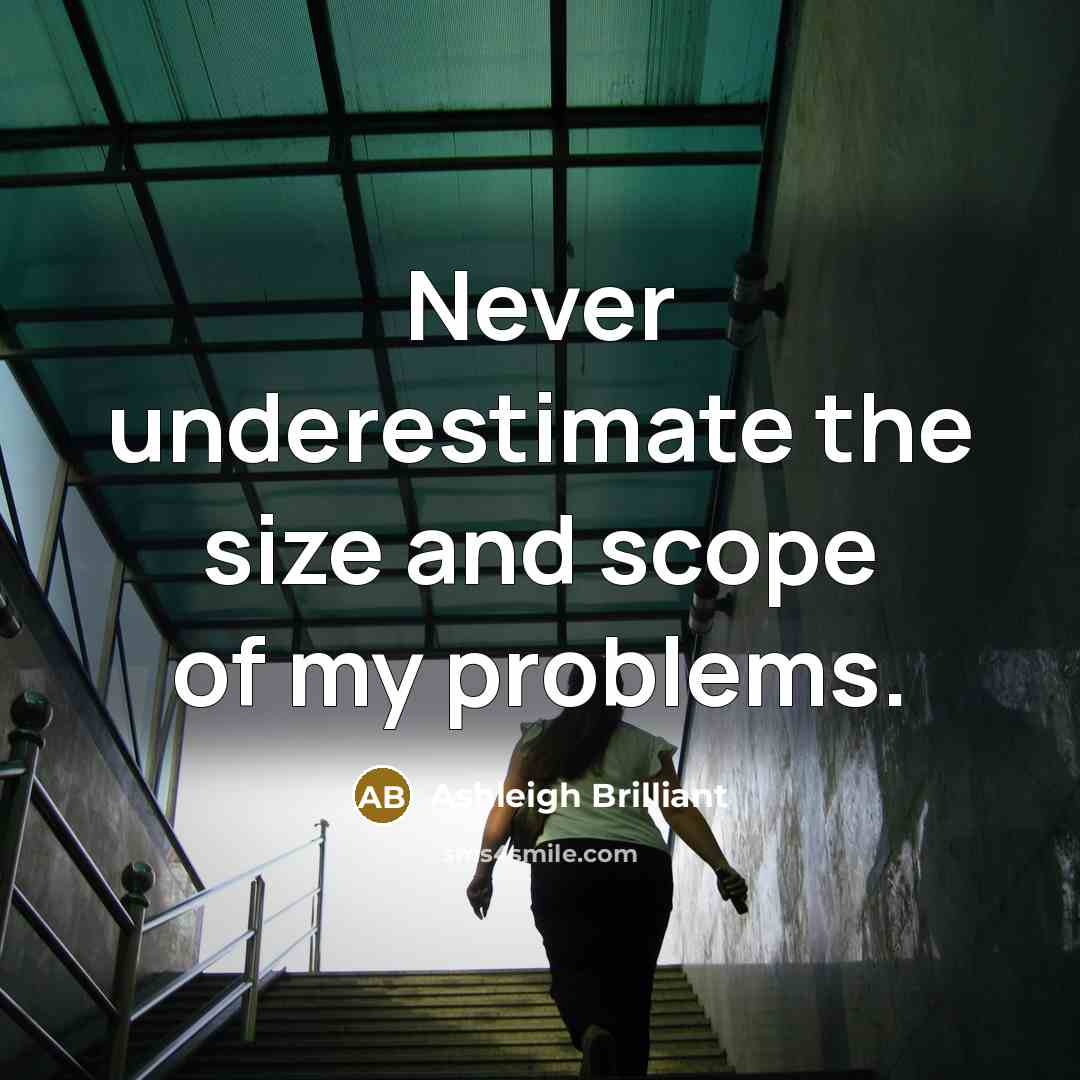 “Never underestimate the size and scope of my problems.…” quote by Ashleigh Brilliant
