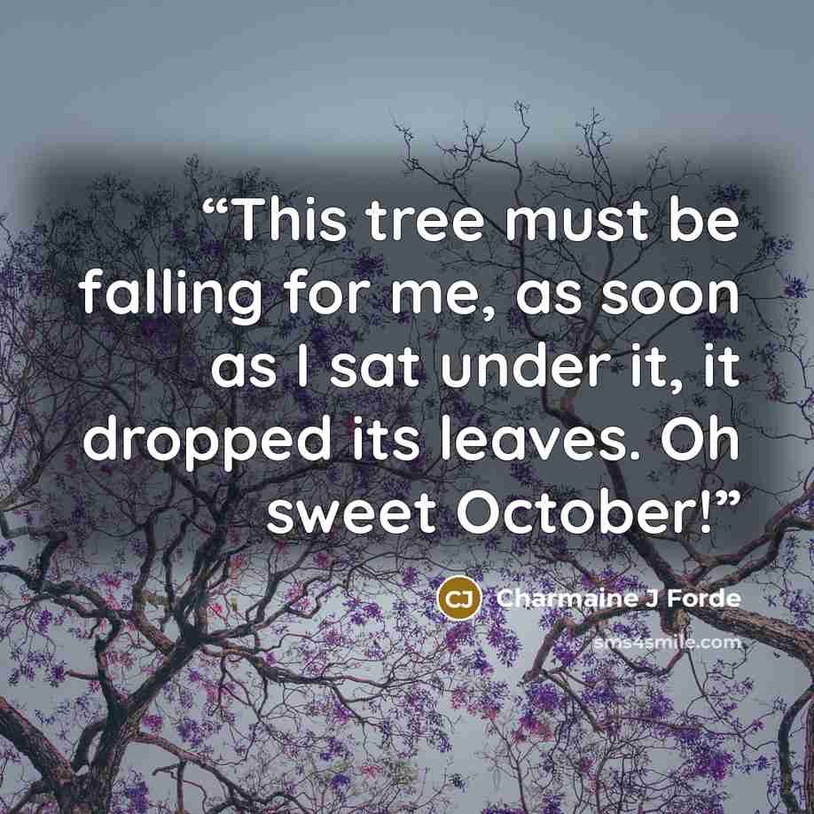 “This tree must be falling for me, as soon as I sat under it, it dropped its leaves. Oh sweet October!” quote by Charmaine J Forde