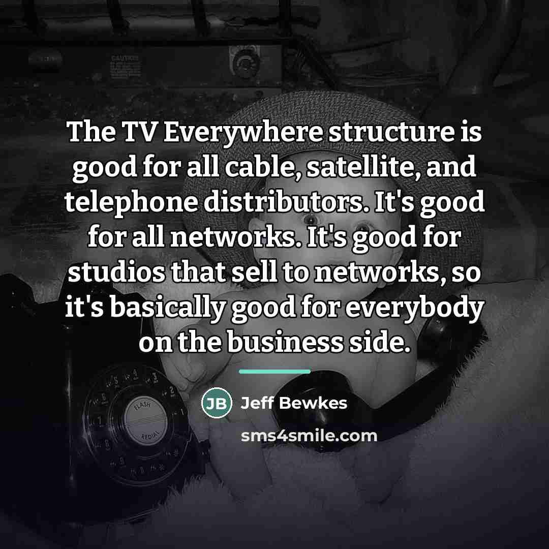 “The TV Everywhere structure is good for all cable, satellite,…” quote by Jeff Bewkes
