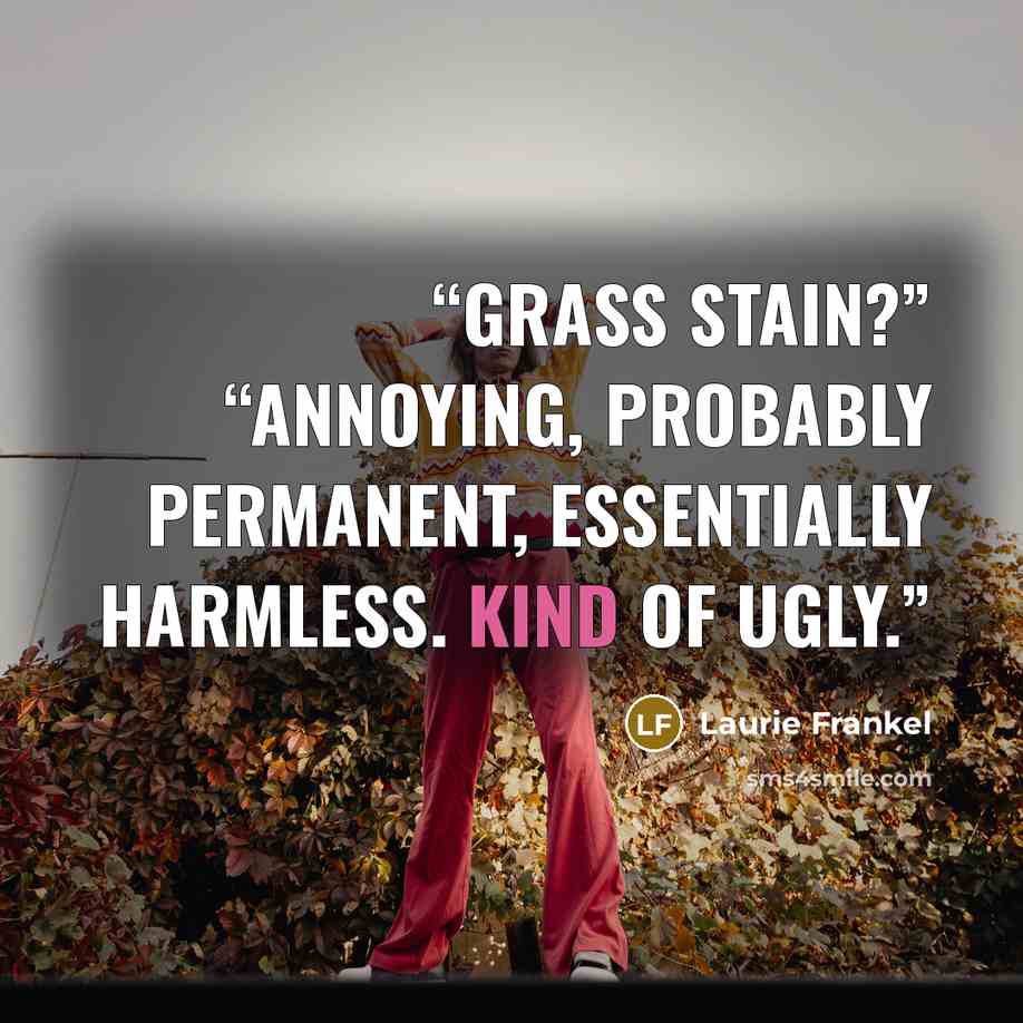 “Grass stain?” “Annoying, probably permanent, essentially harmless. Kind of ugly.” quote by Laurie Frankel