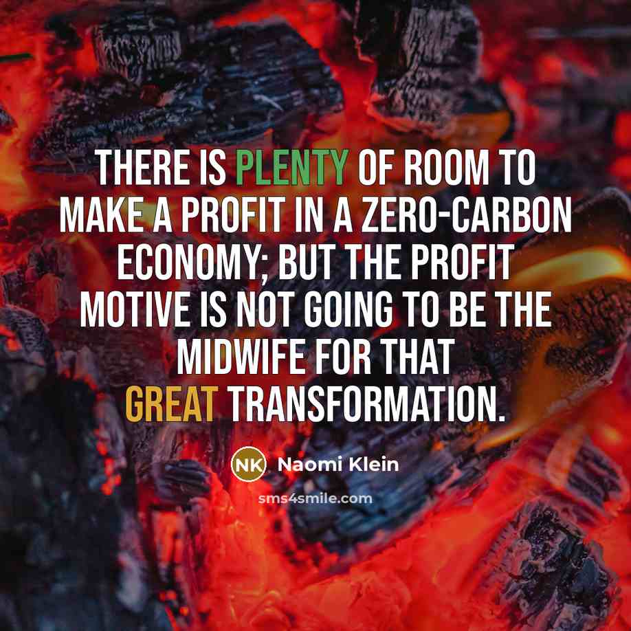 “There is plenty of room to make a profit in…” quote by Naomi Klein