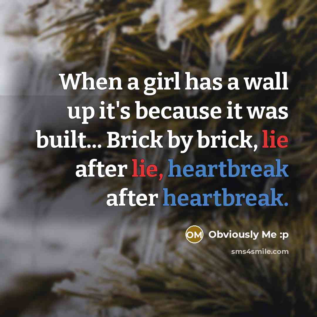 “When a girl has a wall up it's because it…” quote by Obviously Me :p