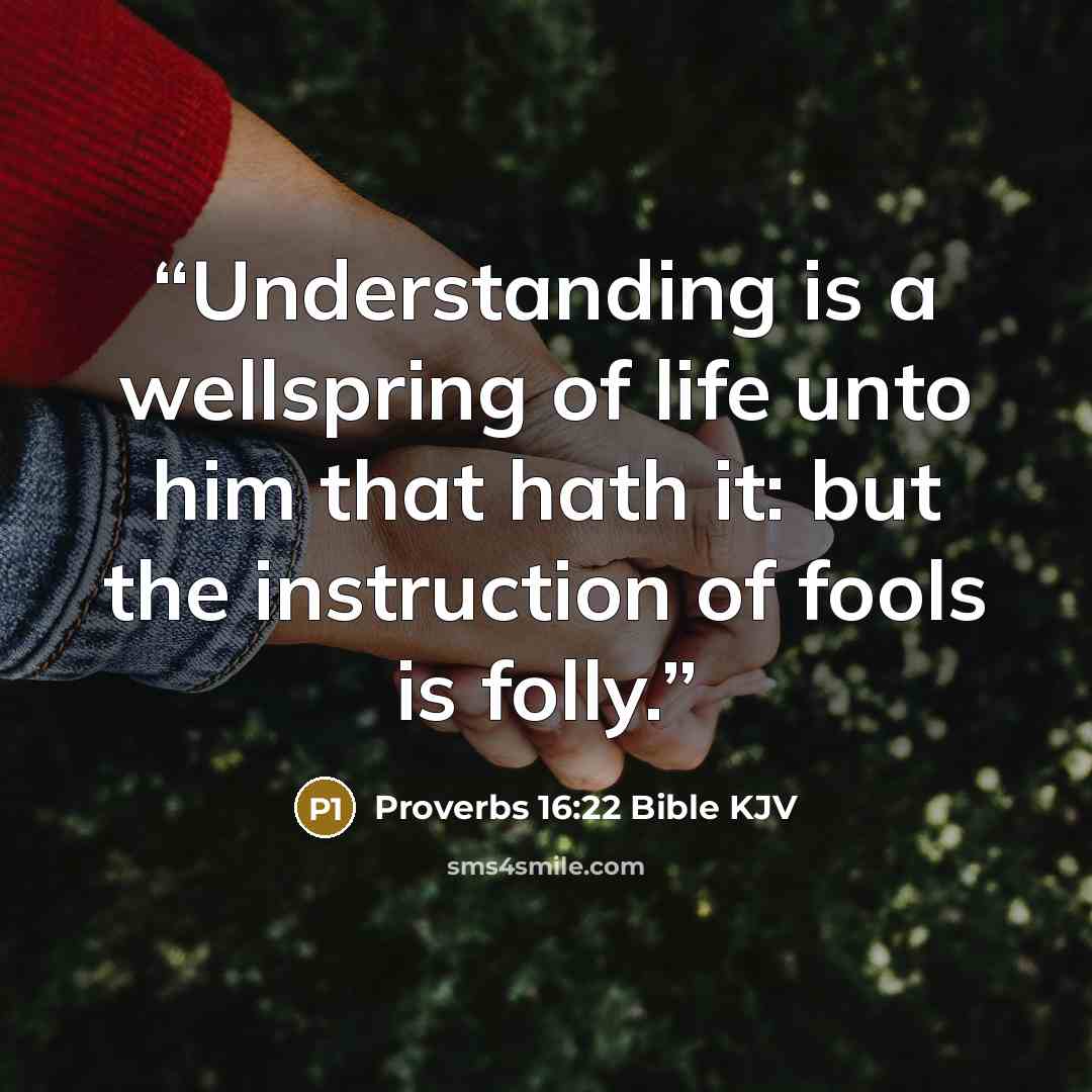 “Understanding is a wellspring of life unto him that hath it: but the instruction of fools is folly.” quote by Proverbs 16:22 Bible KJV