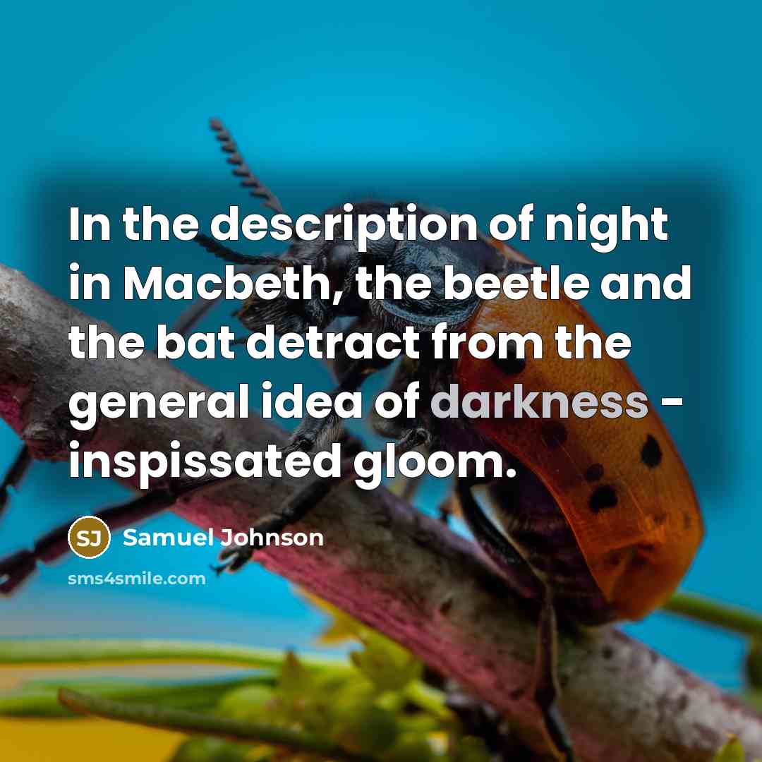 “In the description of night in Macbeth, the beetle and…” quote by Samuel Johnson