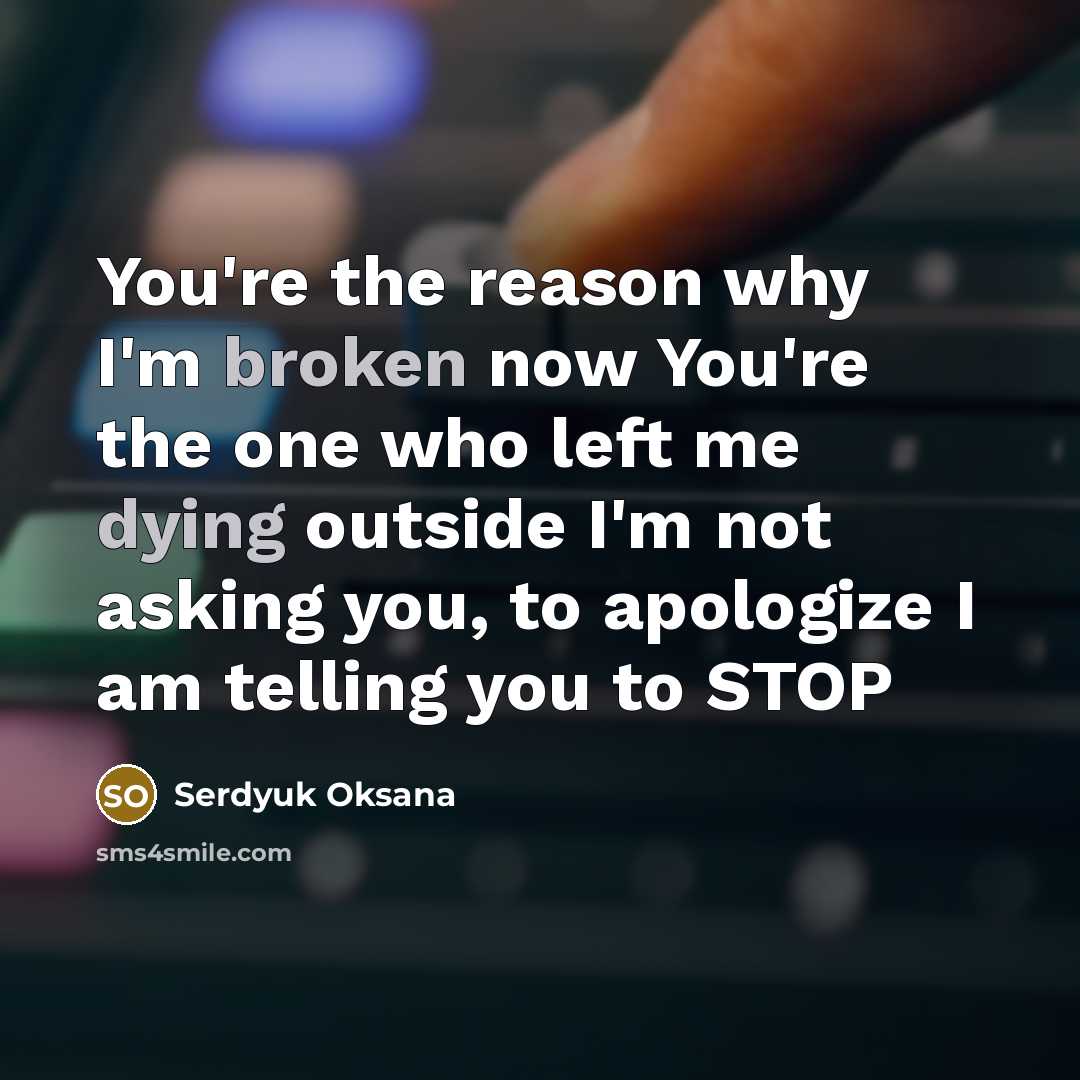 “You're the reason why I'm broken now You're the one who left me dying outside I'm not asking you, to apologize I am telling you to STOP” quote by Serdyuk Oksana