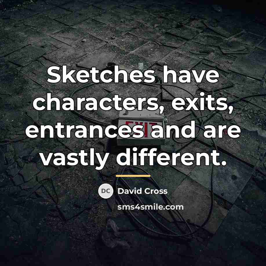 “Sketches have characters, exits, entrances and are vastly different.…” quote by David Cross