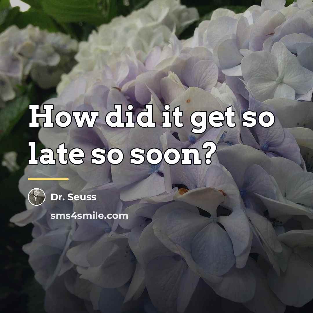 “How did it get so late so soon?…” quote by Dr. Seuss