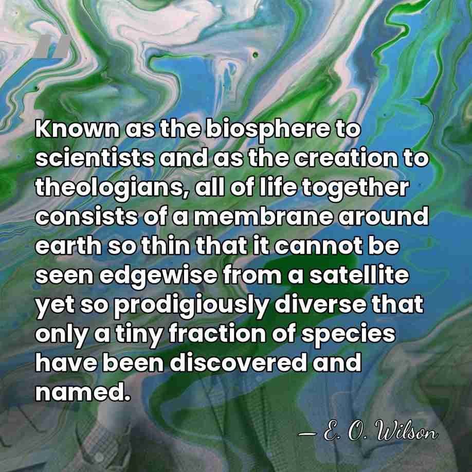 Known as the biosphere to scientists and as the creation to theologians,&hellip; - E. O. Wilson