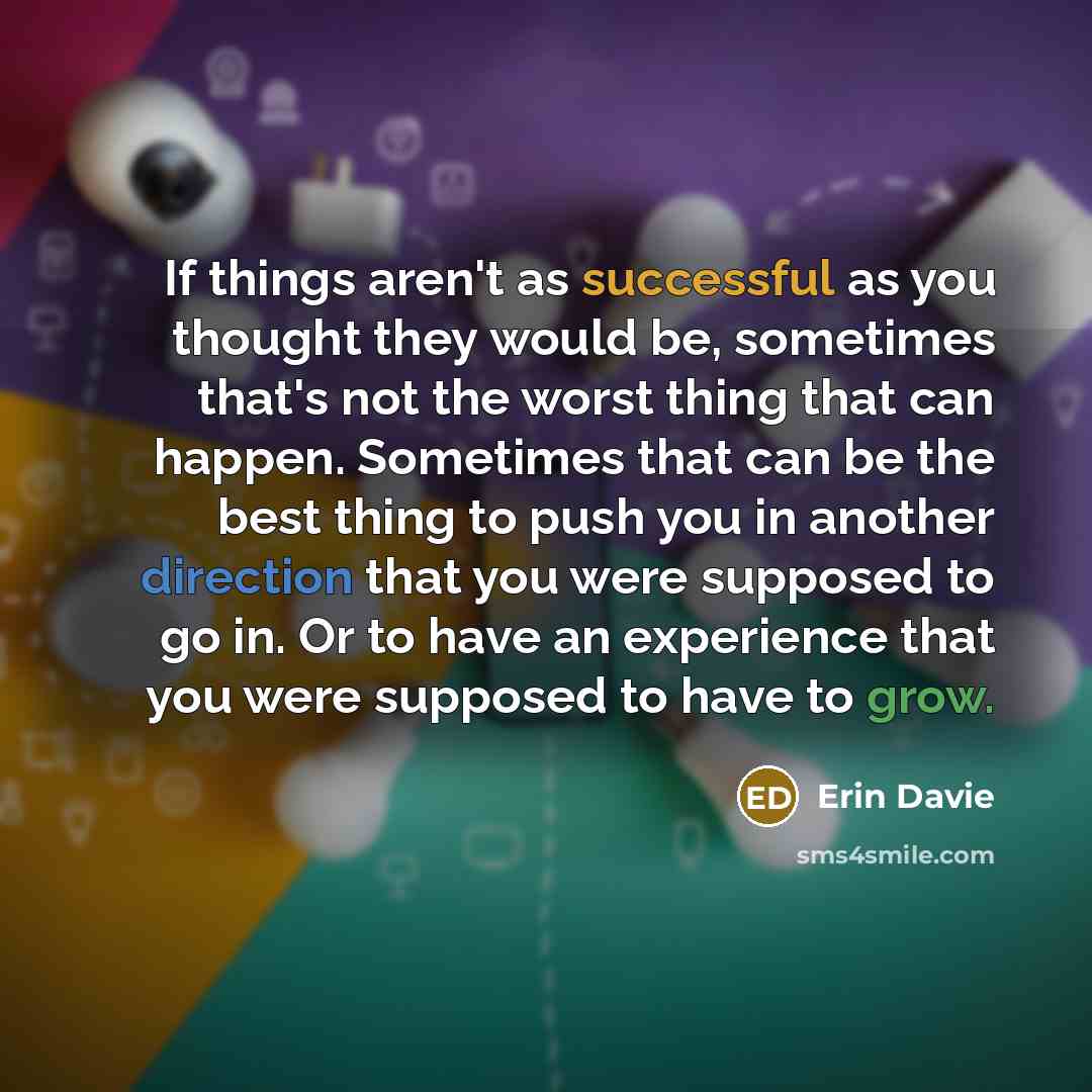 “If things aren't as successful as you thought they would…” quote by Erin Davie