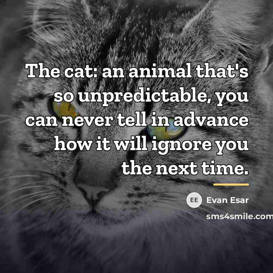 “The cat: an animal that's so unpredictable, you can never…” quote by Evan Esar