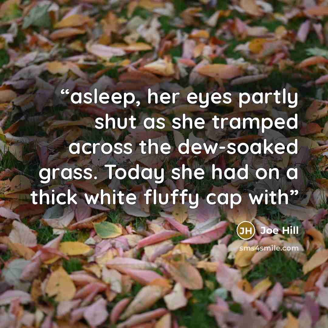 “asleep, her eyes partly shut as she tramped across the dew-soaked grass. Today she had on a thick white fluffy cap with” quote by Joe Hill