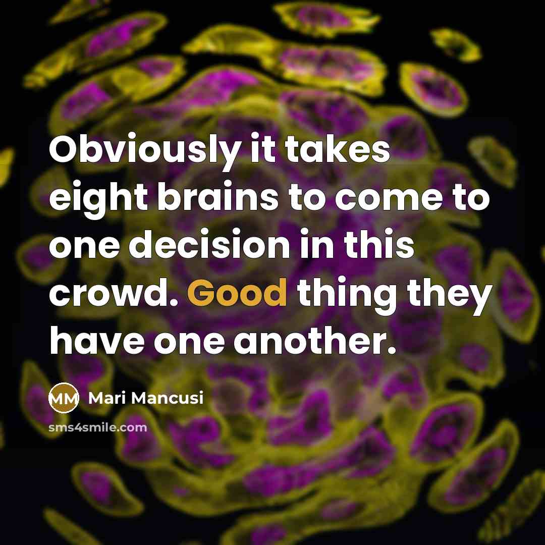 “Obviously it takes eight brains to come to one decision…” quote by Mari Mancusi